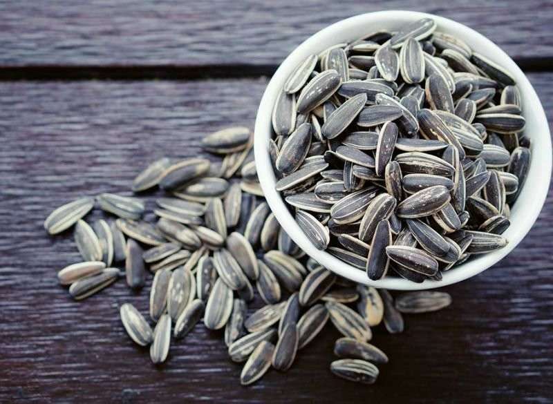 تراجع صادرات بذور الشمس من بلغاريا بنسبة 26%