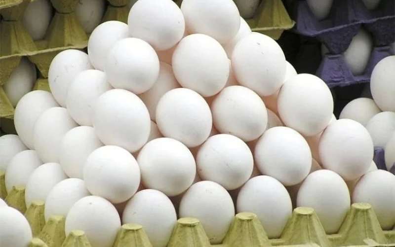 الزراعة تطرح سلع مخفضة بالدقهلية.. طبق البيض بـ 120 جنيها