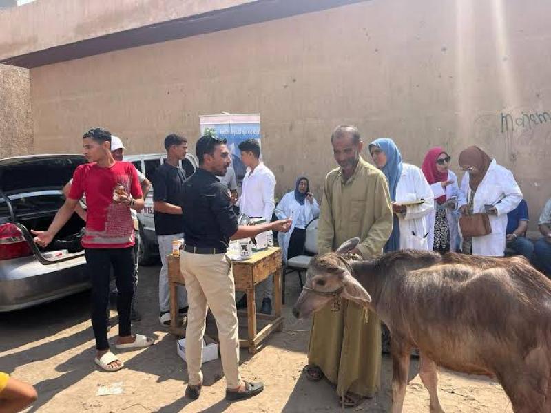 الزراعة تُطلق 9 قوافل بيطرية إرشادية لعلاج الماشية مجانا