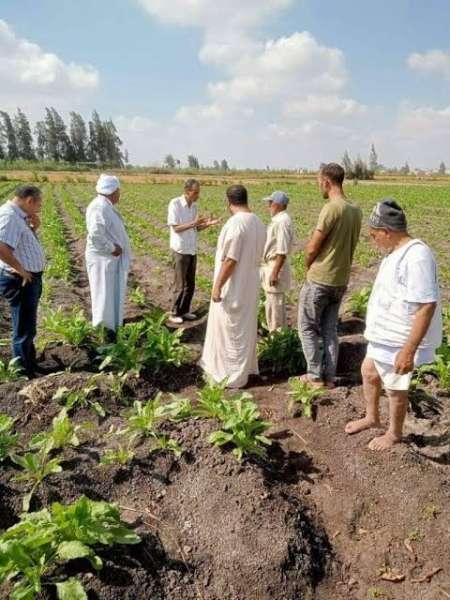 البحوث الزراعية يستعرض حصاد أنشطة مبادرة المراكز الإرشادية الزراعية خلال سبتمبر 2024