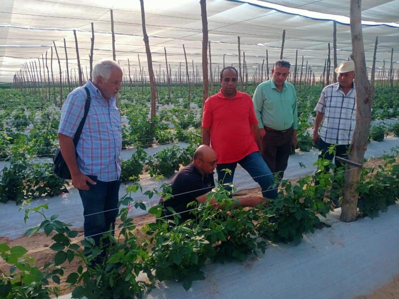 الزراعة: رئيس شؤون المديريات يتابع كارت الفلاح وضبط منظومة الاسمدة فى النوبارية