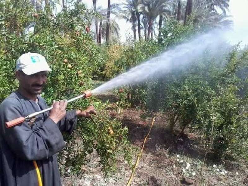 الفرق في الاستخدام بين الزيت الشتوي والصيفي