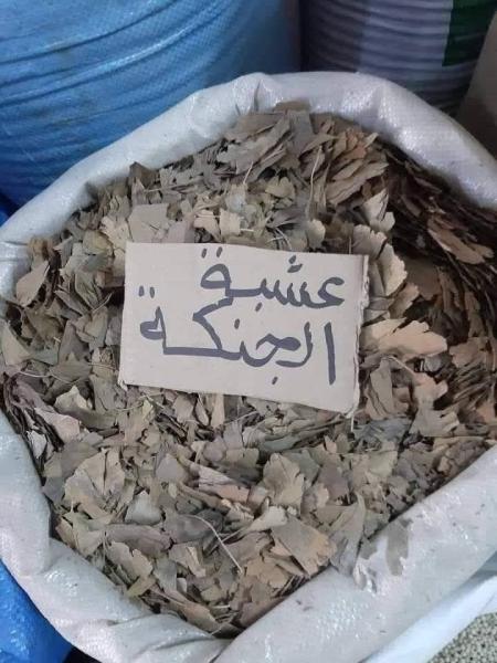 فوائد تناول عشبة الجنكوبيلوبا