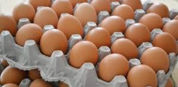 سعر كرتونة البيض بالمزارع والشركات اليوم الإثنين