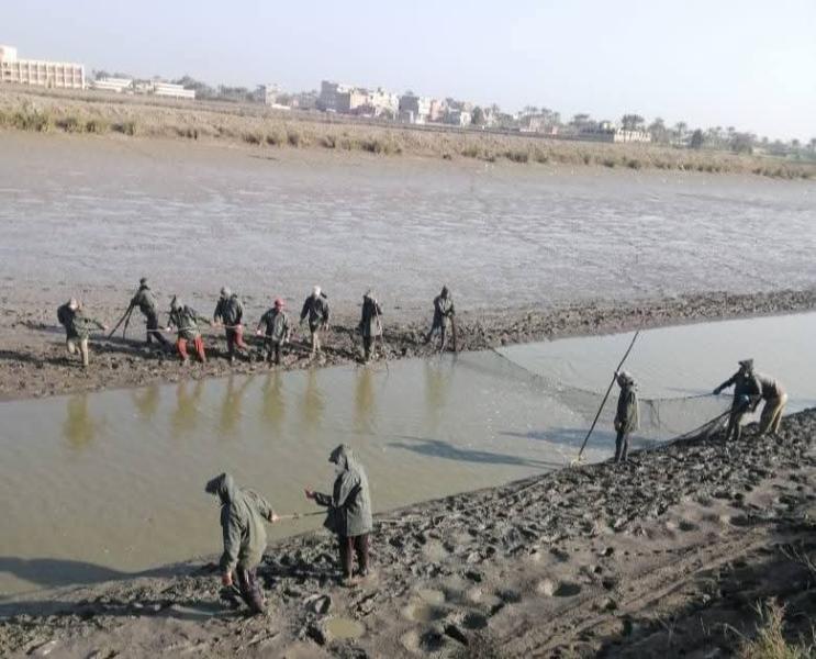 15.2 طنًا يوميًا.. مزرعة المنزلة السمكية تعزز الإنتاج الوطني من الأسماك