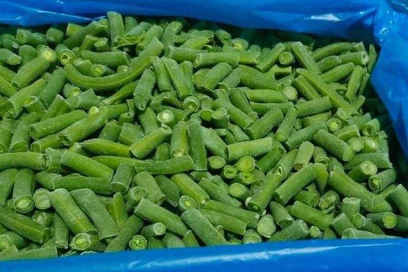 تحول في مسار الصادرات المصرية.. الفاصوليا المجمدة تتفوق على الطازجة في الأسواق العالمية