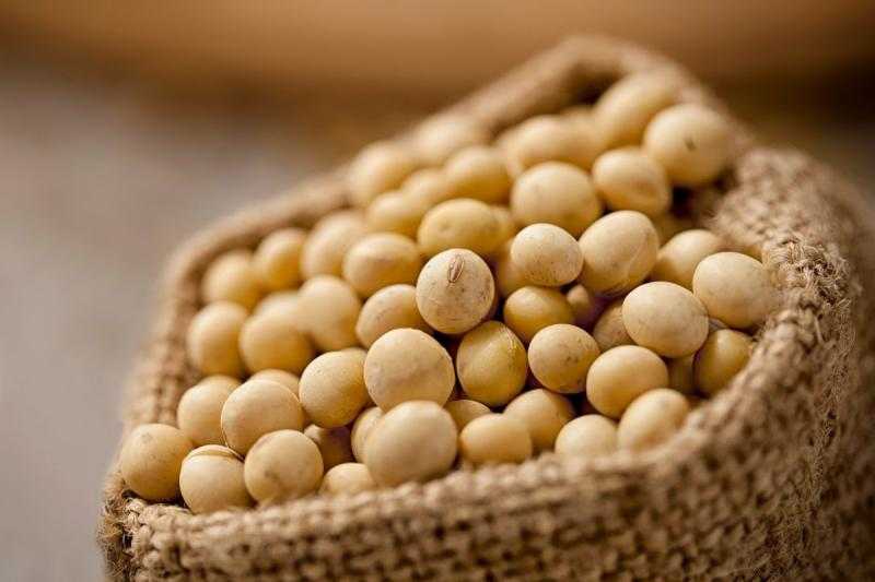 ارتفاع واردات فول الصويا في مصر مدفوعا بزيادة الطلب على الأعلاف