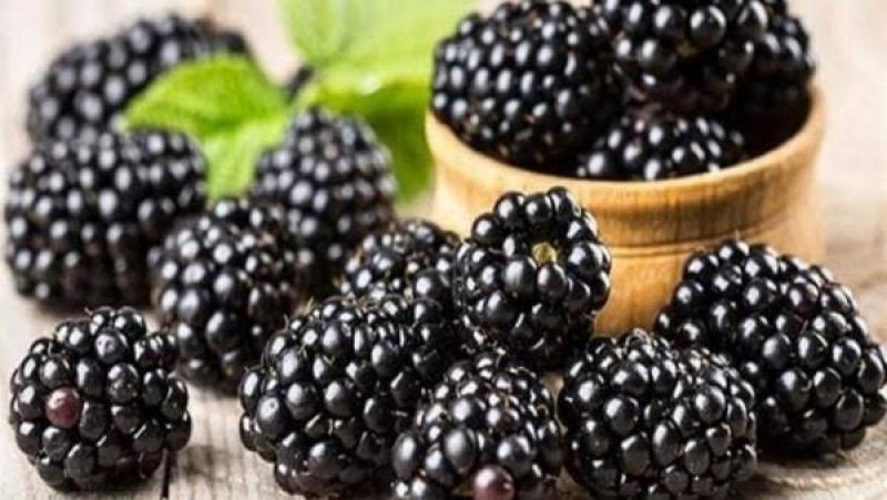 يقي من أمراض القلب... خبراء الطب ينصحون بتناول التوت