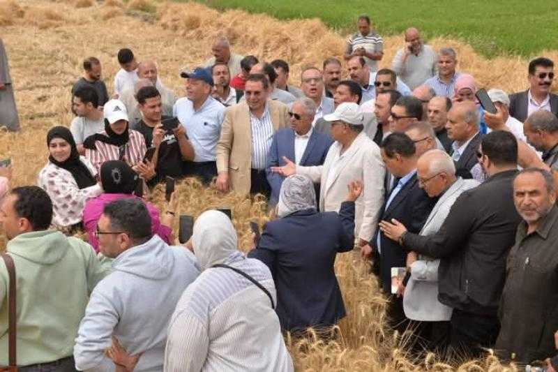 البحوث الزراعية يعلن انطلاق موسم حصاد القمح بالدقهلية