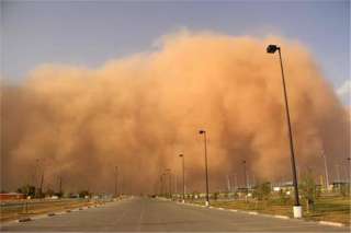عاجل إلى مزارعي الفواكه: ارو طول النهار رية مشبعة