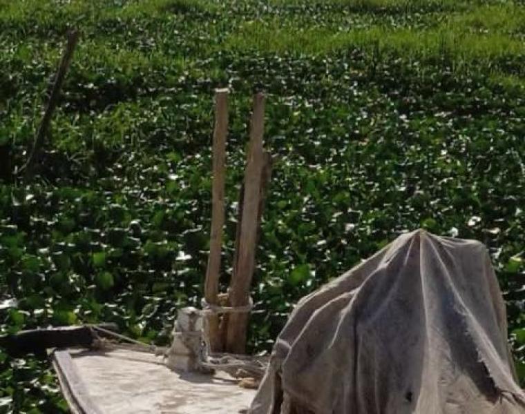 ورد النيل سد البحيرة أمام صيادي قرى الدقهلية .. صور