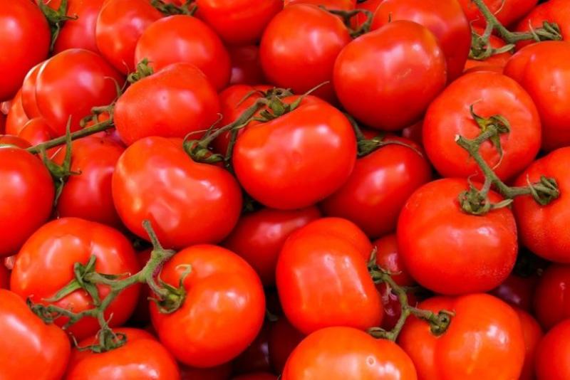 نيجيريا تهدر 45% من إنتاجها السنوي من الطماطم رغم كونها الأكبر في أفريقيا