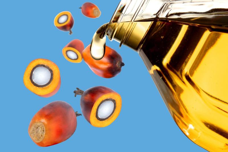 زيت النخيل يعود ليصبح الأرخص ويحفز الهند على زيادة الاستيراد