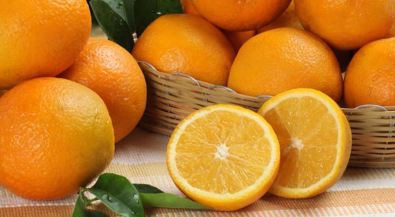 ارتفاع كبير في أسعار تصدير البرتقال المصري