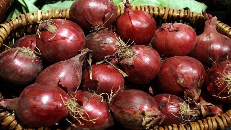 مصر توسع صادراتها الزراعية مدفوعة بوفرة الإنتاج وجودة المحاصيل