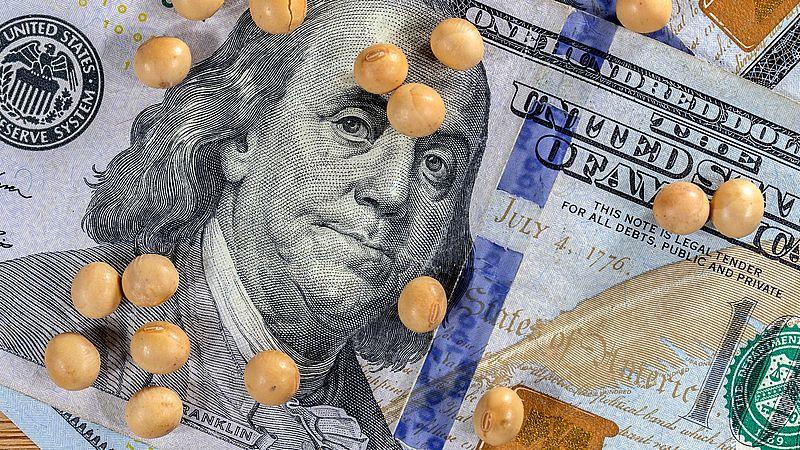 انخفاض أسعار فول الصويا والذرة بفعل تراجع النفط وتباطؤ الاقتصاد الأمريكي