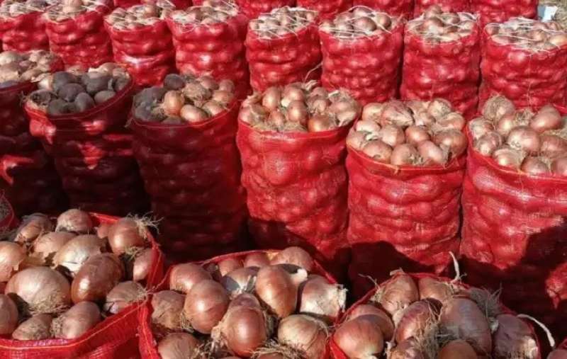 صادرات البصل غير الرسمية في نيجيريا تتجاوز 1.6 مليون كيس