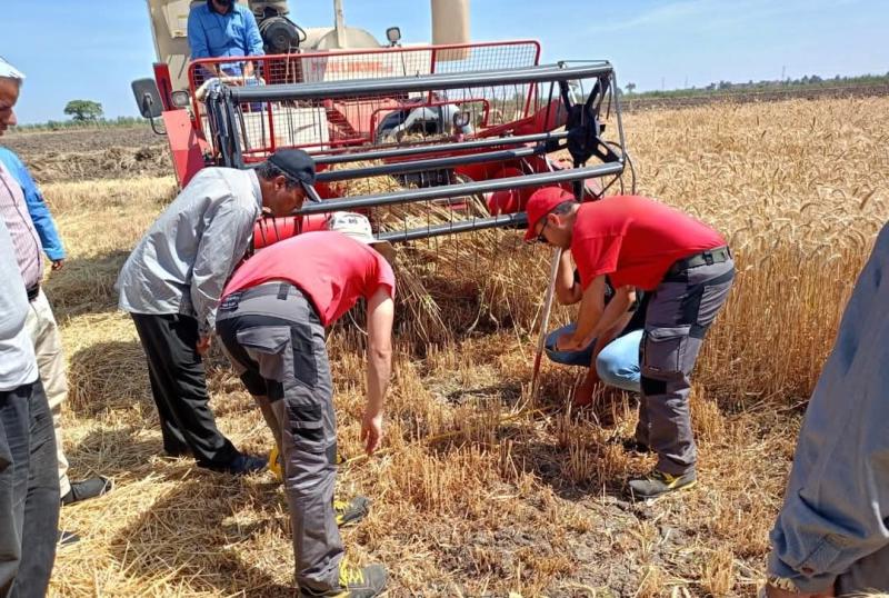 بحوث الهندسة الزراعية يختبر أحدث آلات الحصاد الذكي