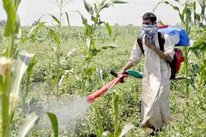 مناخ الزراعة يكشف أهمية الأحماض الأمينية في الحماية من ارتفاع الحرارة