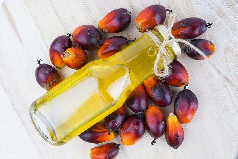 زيت النخيل الماليزي يواصل تراجعه رغم دعم المشتريات الهندية وتغطية المراكز القصيرة