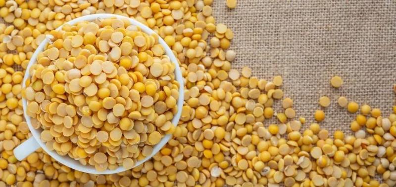 قطاع البقوليات في الهند يطالب بعودة الرسوم الجمركية