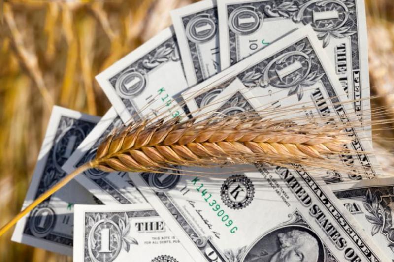 هبوط تاريخي لأسعار القمح وسط تحسن أحوال الطقس