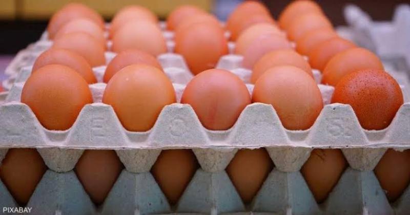 ارتفاع للأحمر.. سعر كرتونة البيض بالمزارع والشركات اليوم الخميس