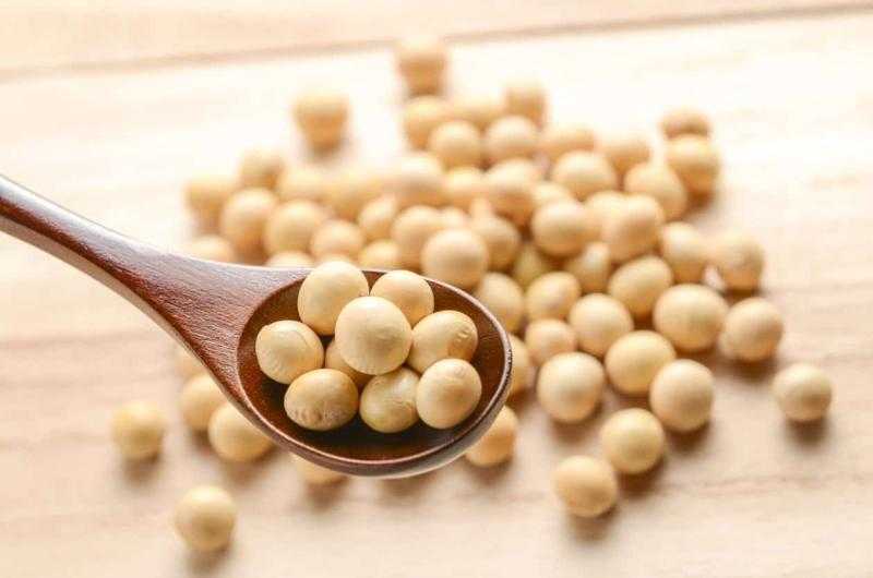 واردات الصين من فول الصويا تهبط لأدنى مستوى في عقد