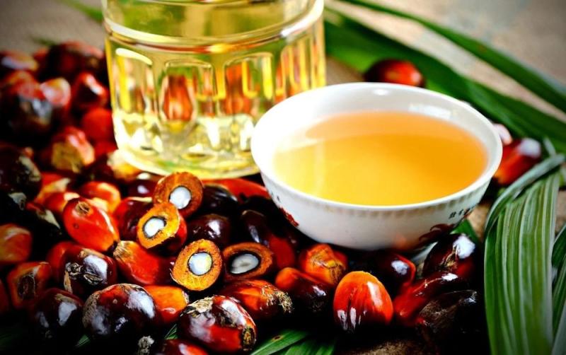 هدنة الرسوم تعزز آفاق زيت النخيل الماليزي