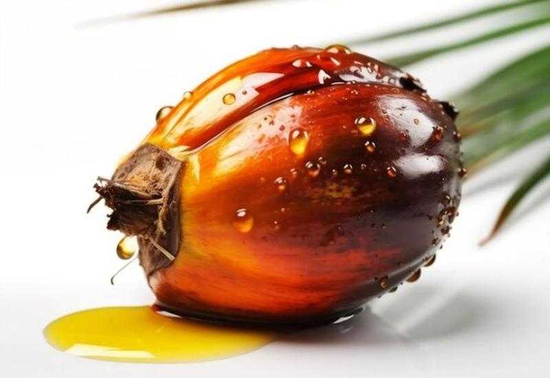 إندونيسيا ترفع رسوم تصدير زيت النخيل لتمويل توسع برامج الوقود الحيوي