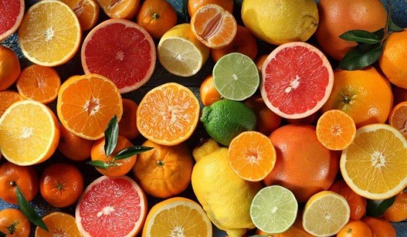زيمبابوي تصدر الفاكهة إلى سنغافورة أبرزها التوت الأزرق والموالح
