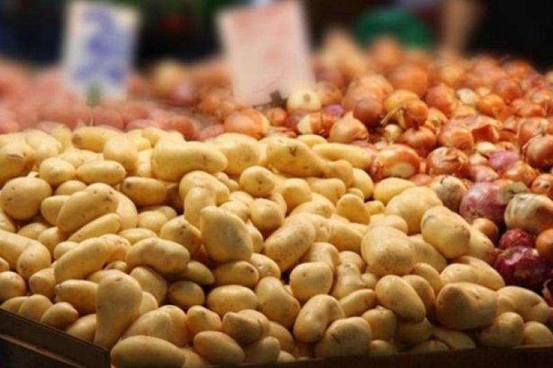 مصر تتصدر صادرات البطاطس والبصل إلى روسيا في 2025