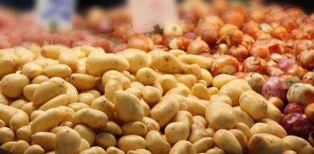 مصر تتصدر صادرات البطاطس والبصل إلى روسيا في 2025