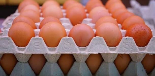 ثبات سعر كرتونة البيض بالمزارع والشركات اليوم الإثنين