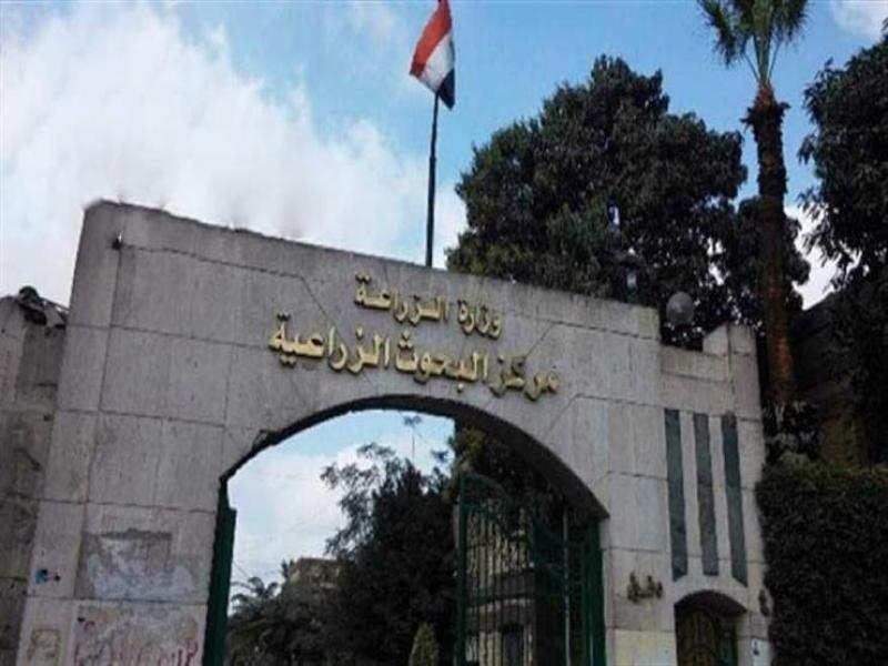 أجندة مؤتمر الابتكار وريادة الأعمال بمركز البحوث الزراعية