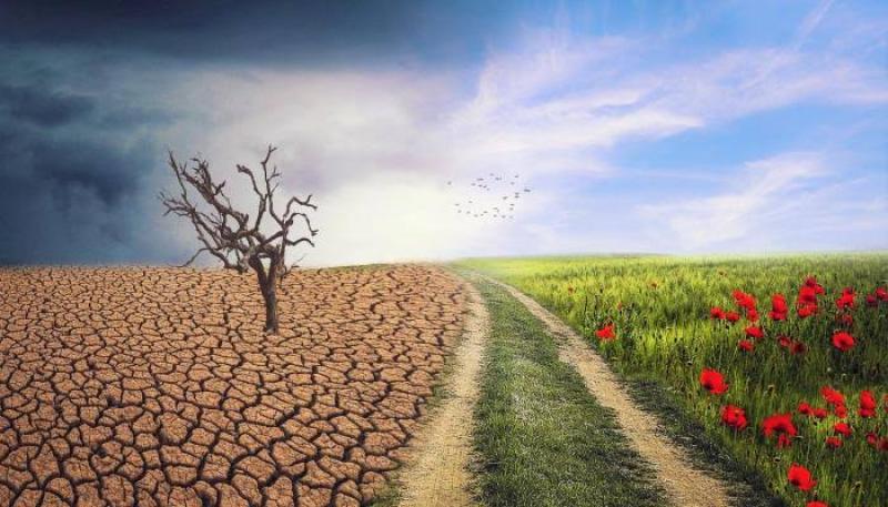 مناخ الزراعة: أجواء ربيعية معتدلة مؤقتة وتحذيرات من تأثيرات مناخية وزراعية
