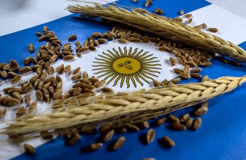 تحرر العملة ينعش مبيعات الحبوب في الأرجنتين