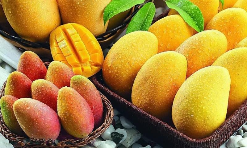 قفزة غير مسبوقة لواردات المانجو في المغرب