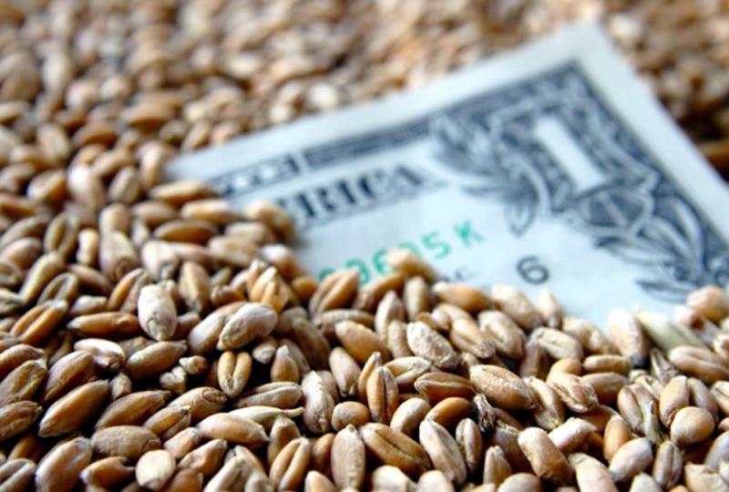 تراجع أسعار تصدير القمح الأوكراني وسط توقعات إيجابية لمحاصيل البحر الأسود