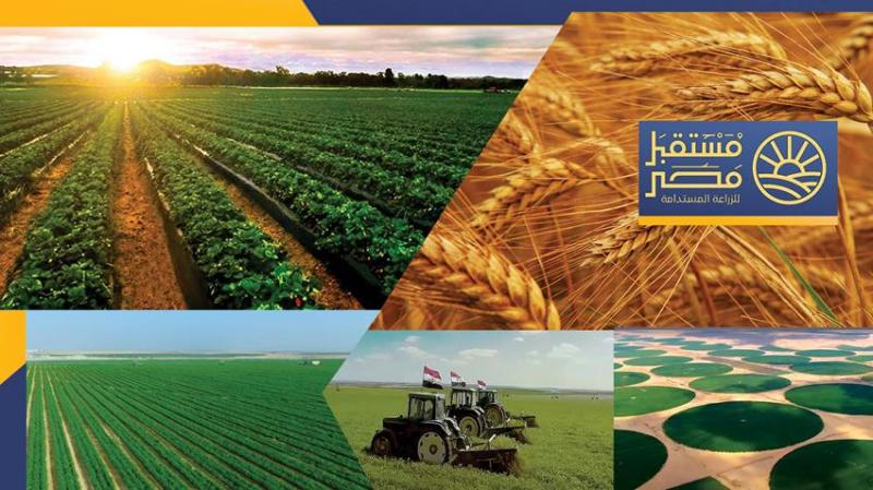 إضافة ممثل عن جهاز مستقبل مصر للجنة تراخيص بحيرة ناصر وشواطئها ومنافعها
