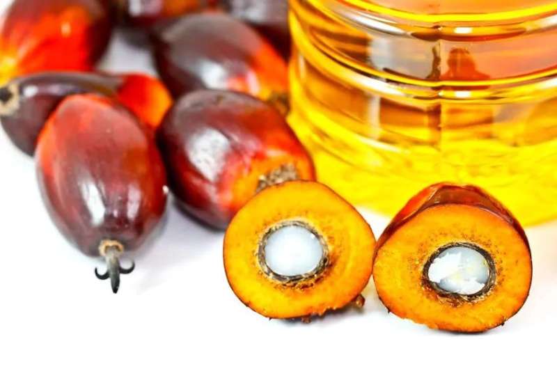 ماليزيا والصين توسعان التعاون في زيت النخيل والصناعات الخضراء