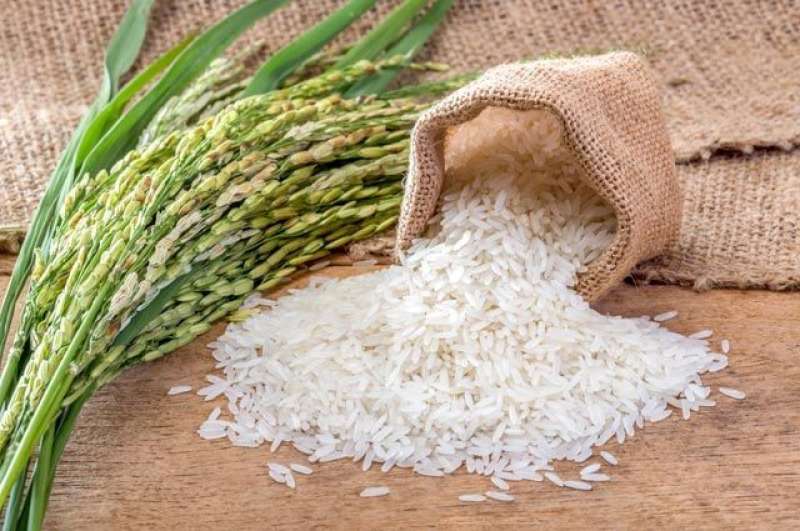 اليابان تستورد الأرز الكوري الجنوبي لأول مرة منذ 25 عاما