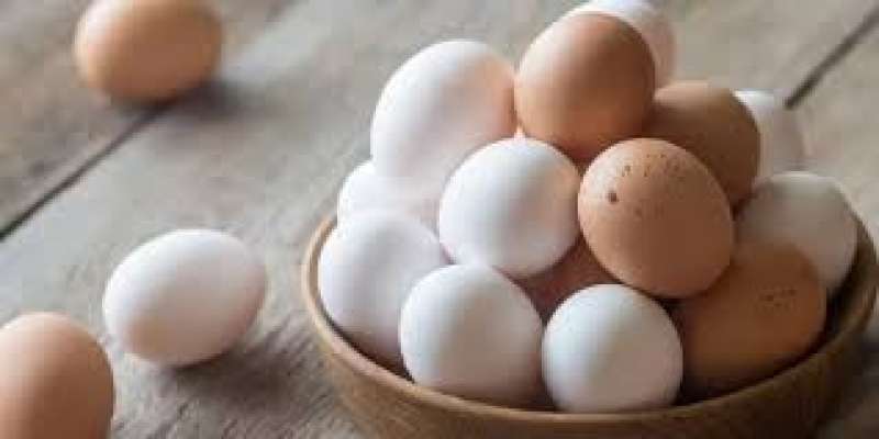 استقرار سعر كرتونة البيض بالمزارع والشركات اليوم الخميس