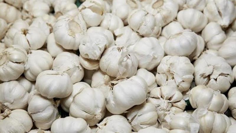 مصر تدخل سوق الثوم الأمريكي كمورد ناشئ في ظل تراجع الإمدادات التقليدية