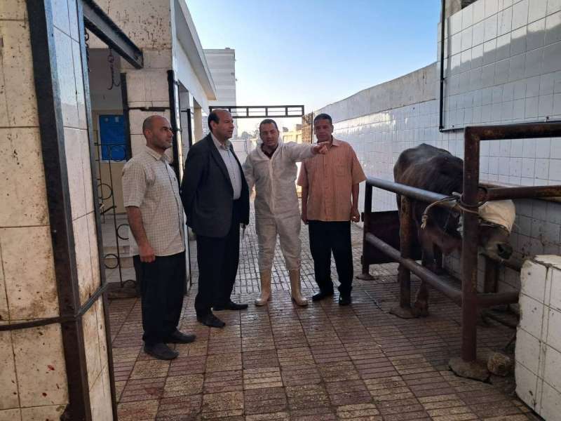 «الخدمات البيطرية» تعلن عن إجراءات عاجلة بشأن 8 مجازر في 5 محافظات