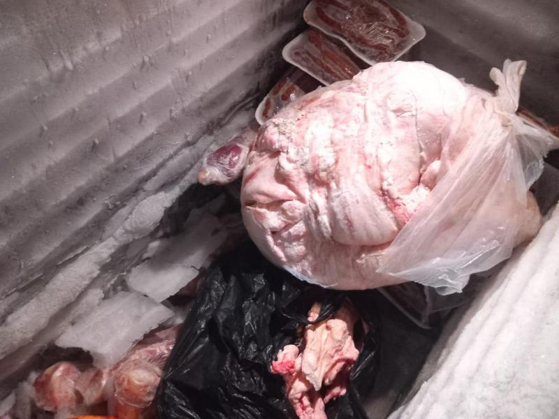 حملة مفاجئة لوزارة الزراعة تضبط 115 كيلو جرامًا من اللحوم غير سليمة