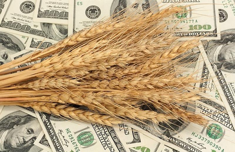 روسيا تدرس مراجعة سعر التصدير الأساسي للحبوب