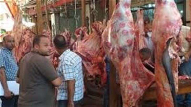 محمود سرج: ذبح الأضاحي العشوائي يهدر ثروة قومية من الجلود