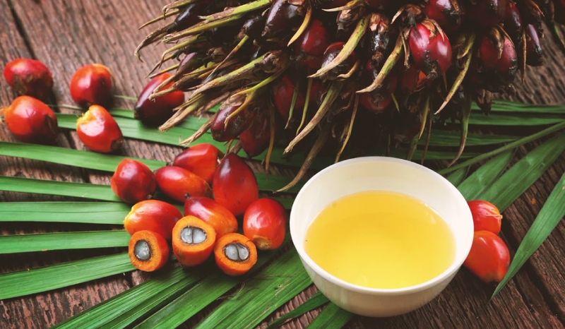 تراجع صادرات زيت النخيل الإندونيسي بأكثر من 5% رغم ارتفاع العائدات