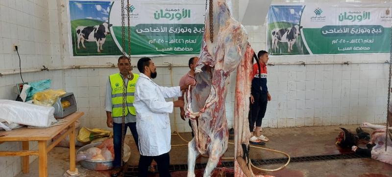 «الزراعة»: المجازر الحكومية تستقبل 9800 أضحية خلال أول أيام العيد
